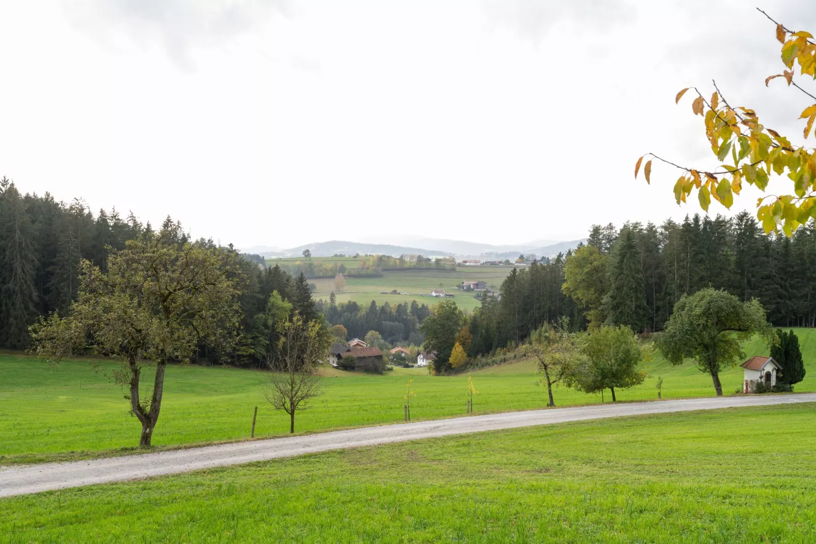 Gruber Ferienhaus-Gebiete Sommer 5 km