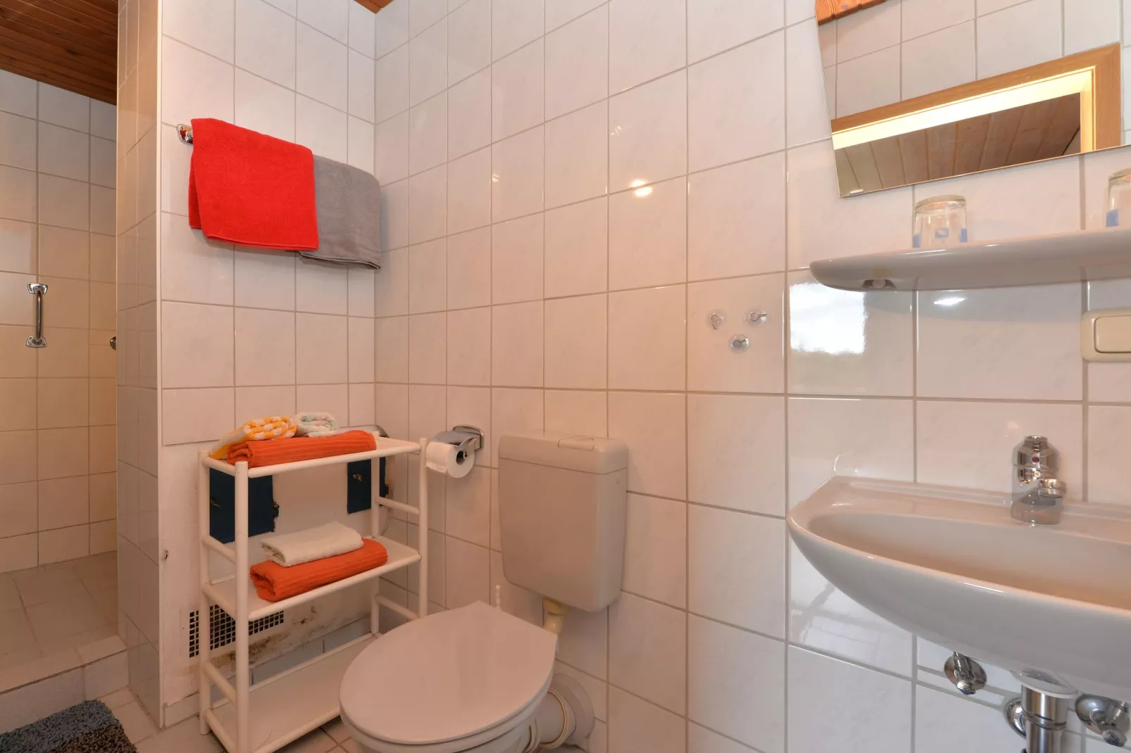 Bayerwald-Bathroom