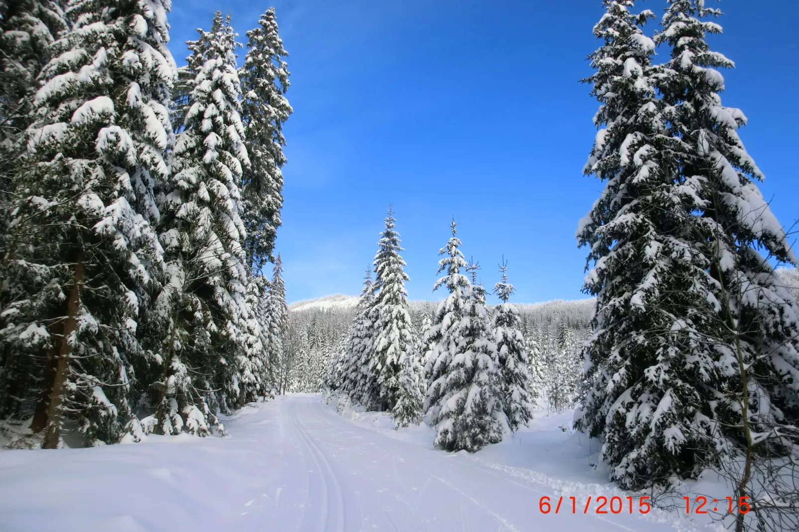 Bayerwald-Area winter 5km