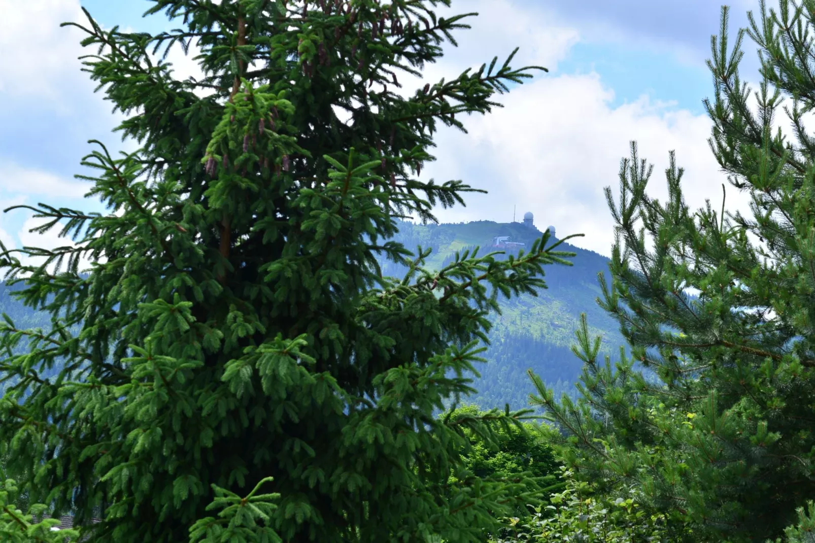 Bayerwald-Areas summer 1km