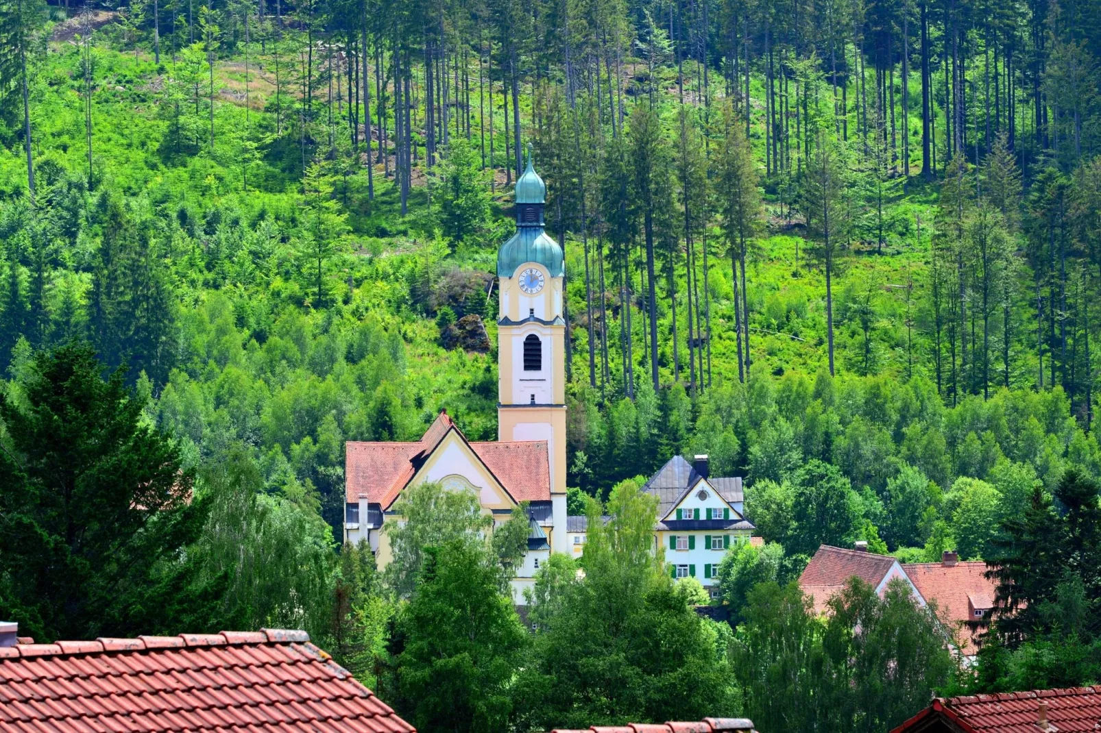 Bayerwald-Areas summer 5km