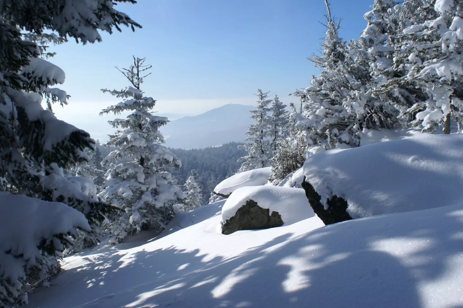 Im Zellertal-Area winter 5km