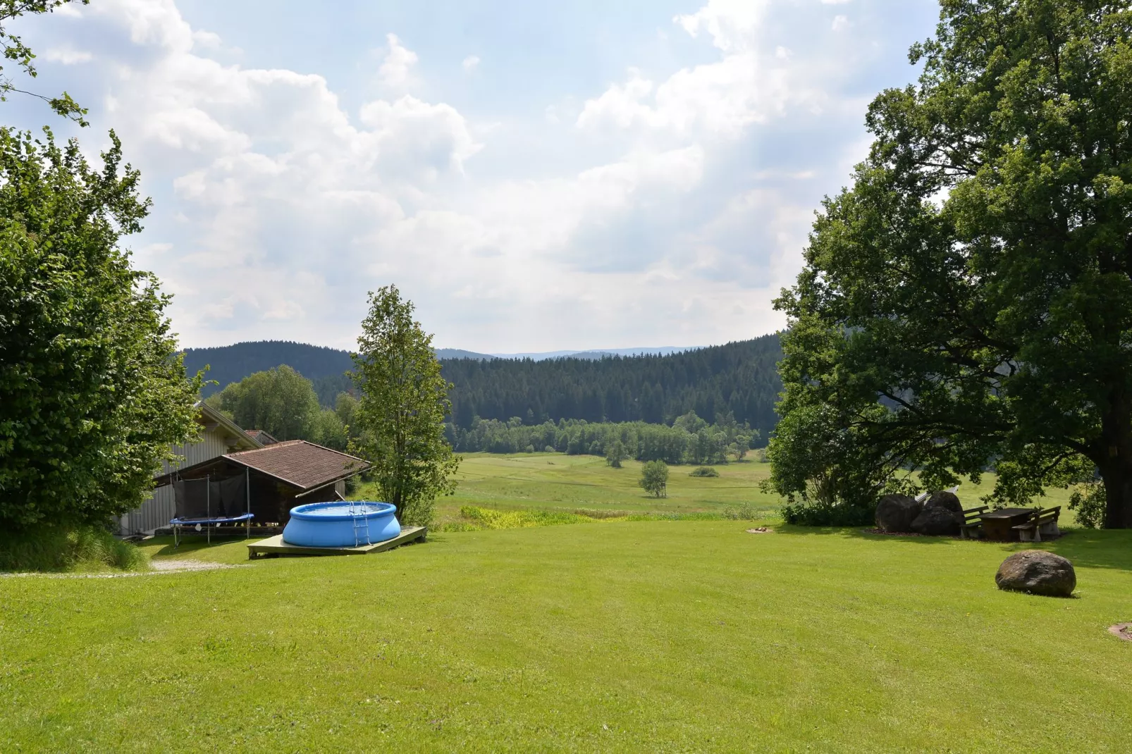 Vergissmeinnicht-Gardens summer