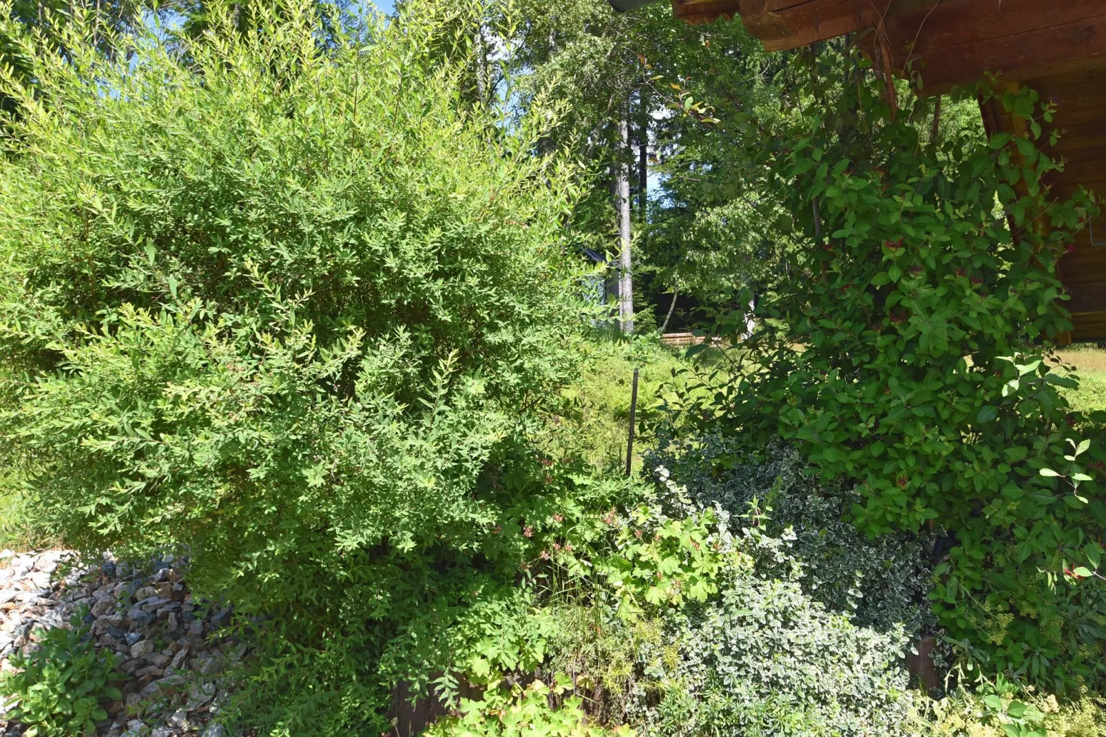 Sonnenwald-Gardens summer