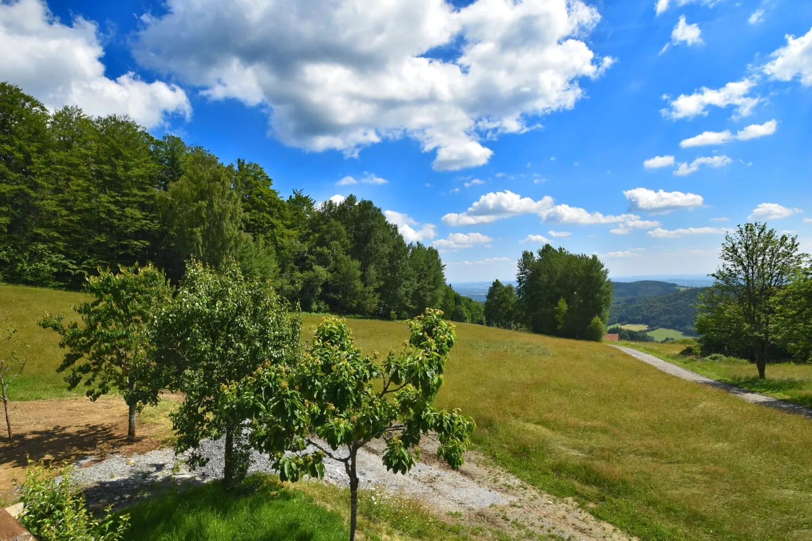 Sonnenwald-View summer
