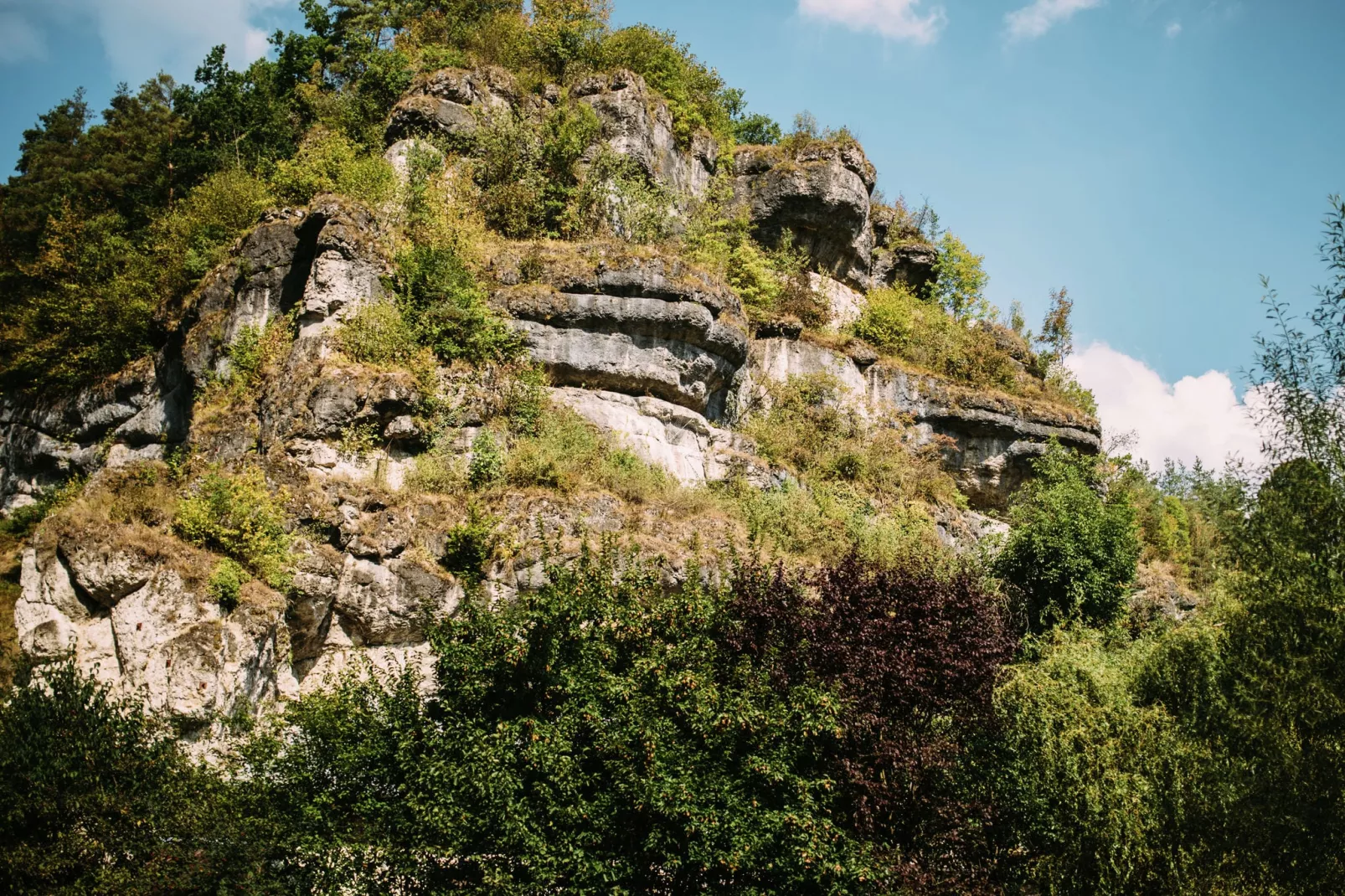 Fränkische Schweiz-Areas summer 5km