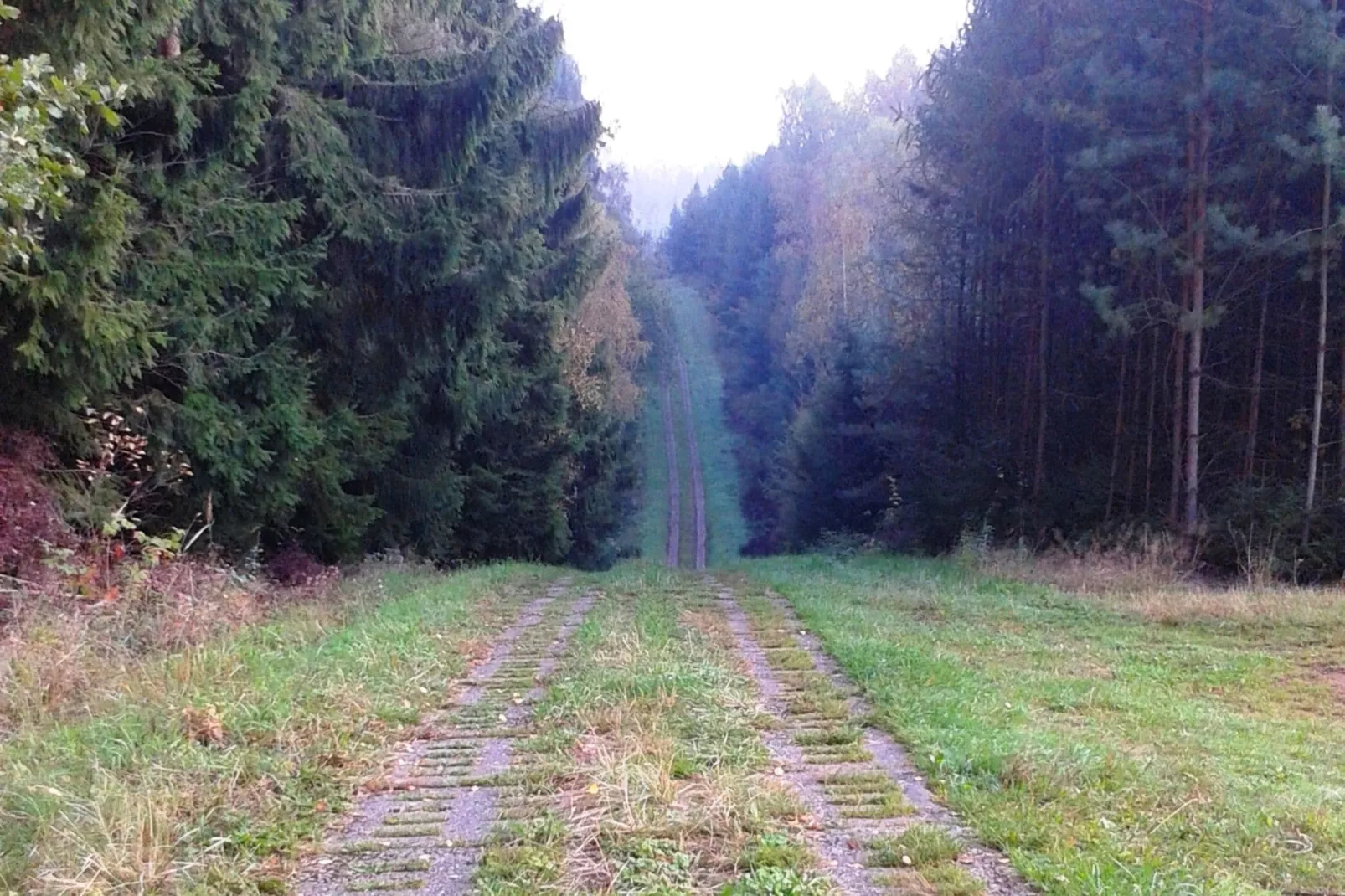 Burggrub-Zones d'été à 1 km