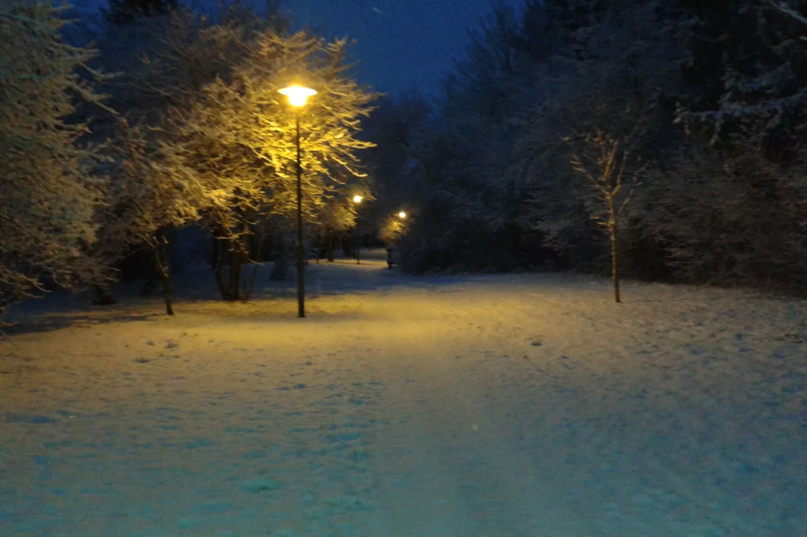 Burggrub-Zone d'hiver à 20 km