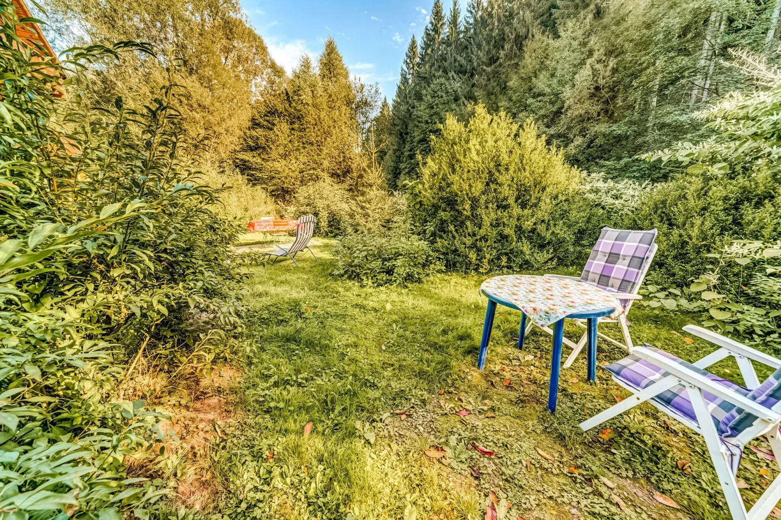 Waldblick-Garten Sommer