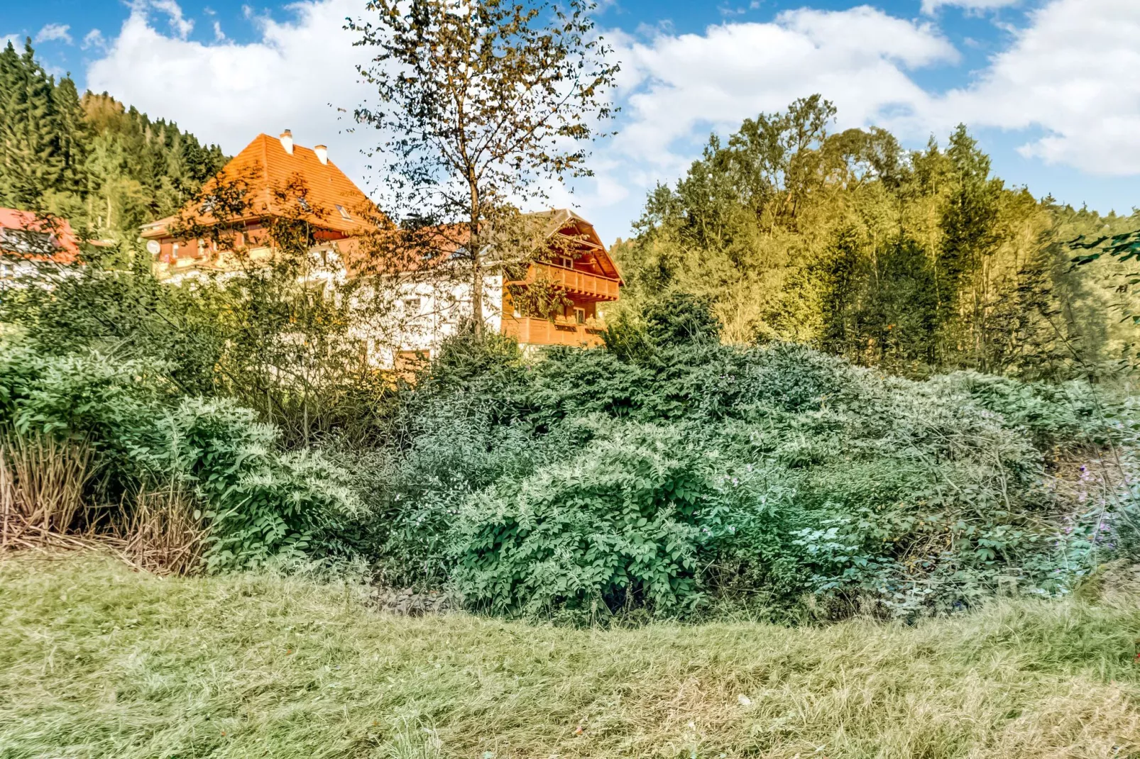 Waldblick-Gebiete Sommer 1 km
