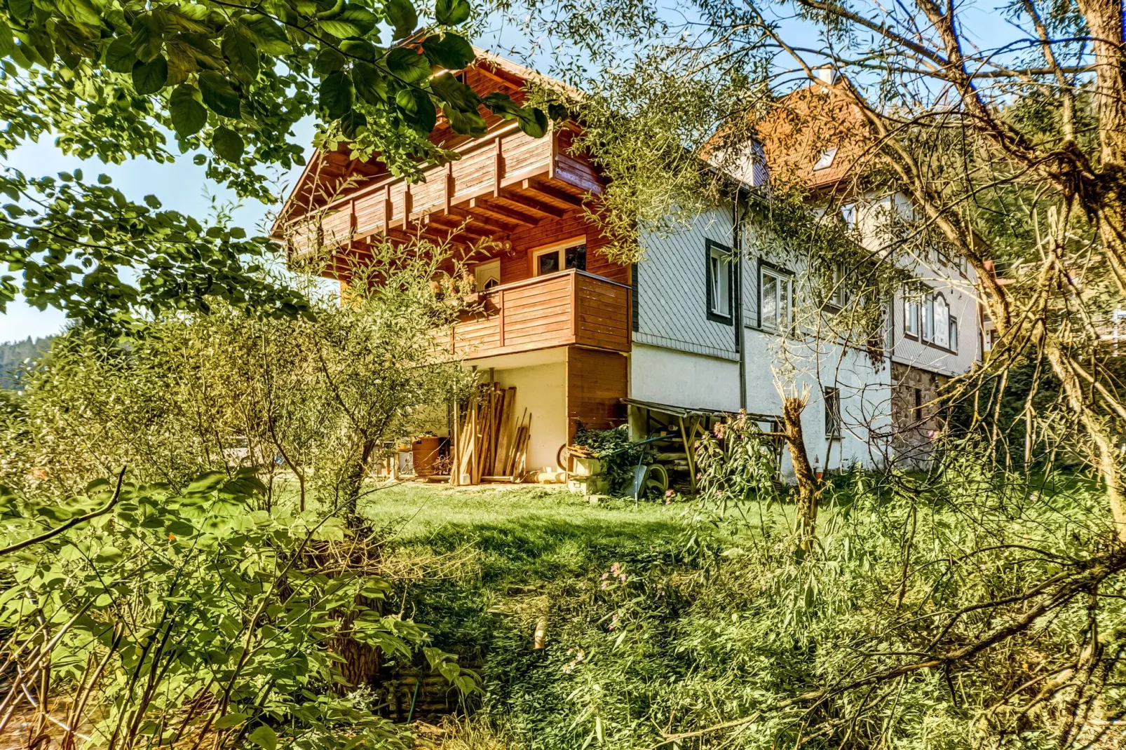 Waldblick-Außenbereich Sommer