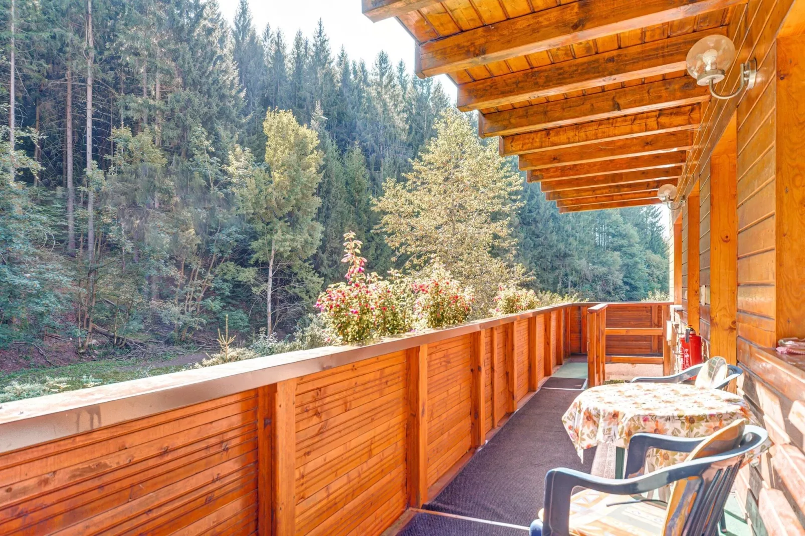 Waldblick-Terrace balcony