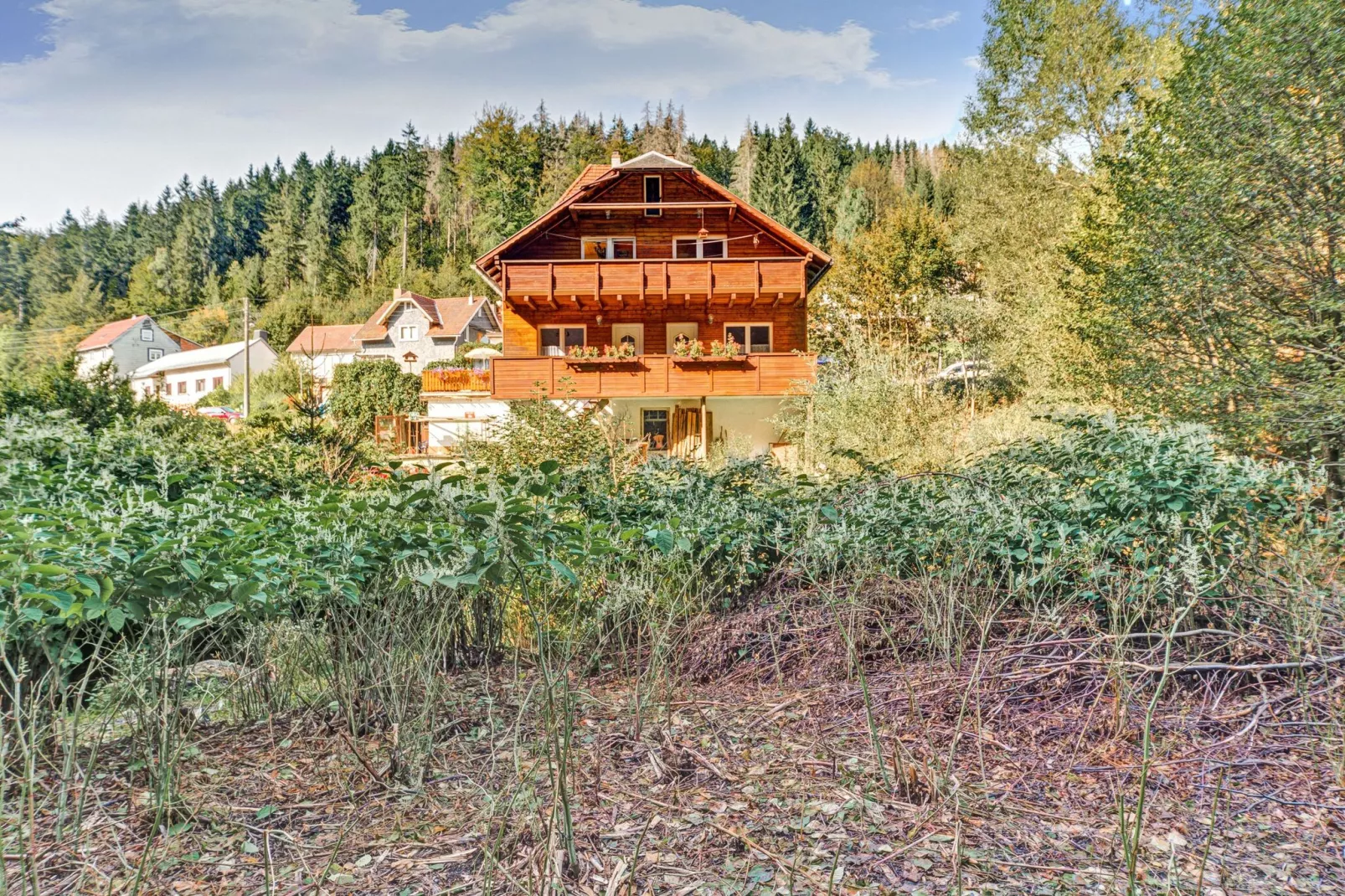 Waldblick-Exterior in summer