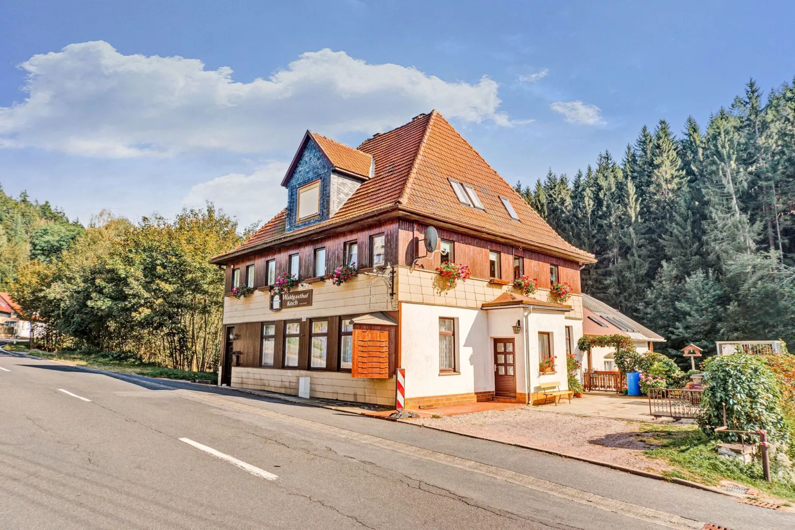 Waldblick-Exterior in summer