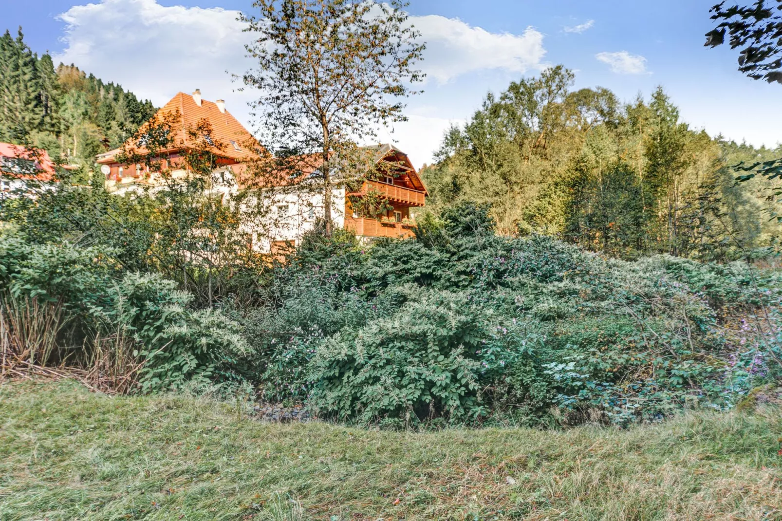 Waldblick-Areas within 1km in summer