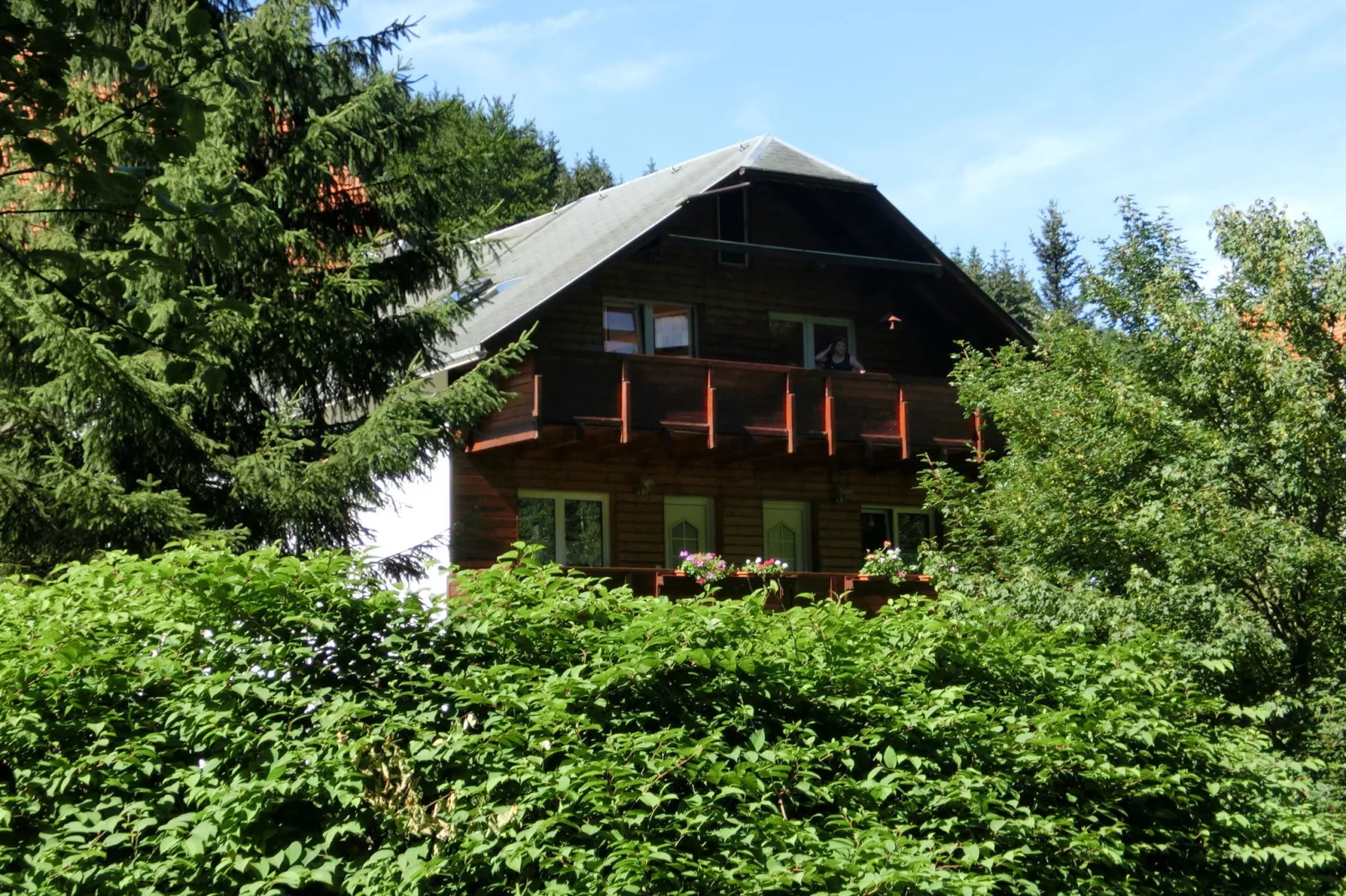Waldblick-Außenbereich Sommer