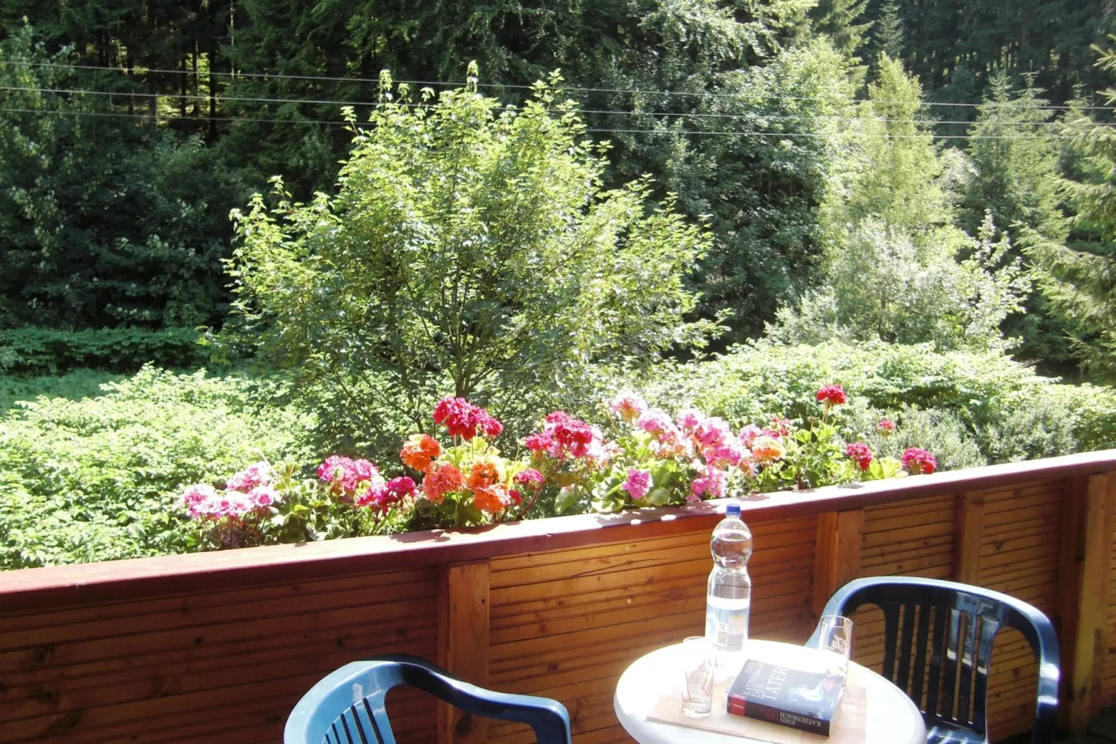 Waldblick-Terrasse/Balkon