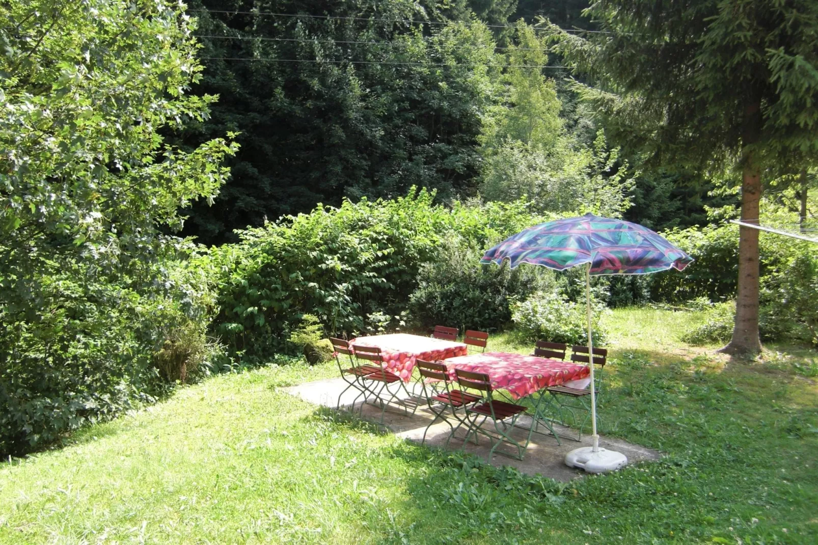 Waldblick-Garten Sommer