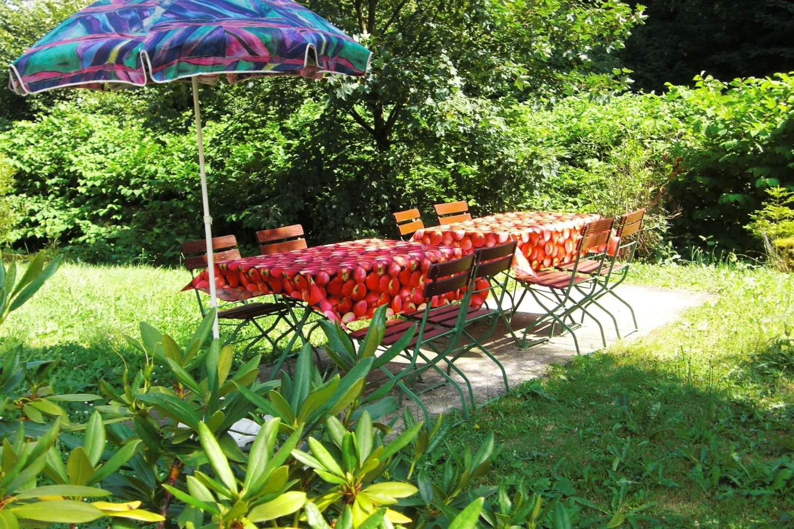 Waldblick-Garten Sommer