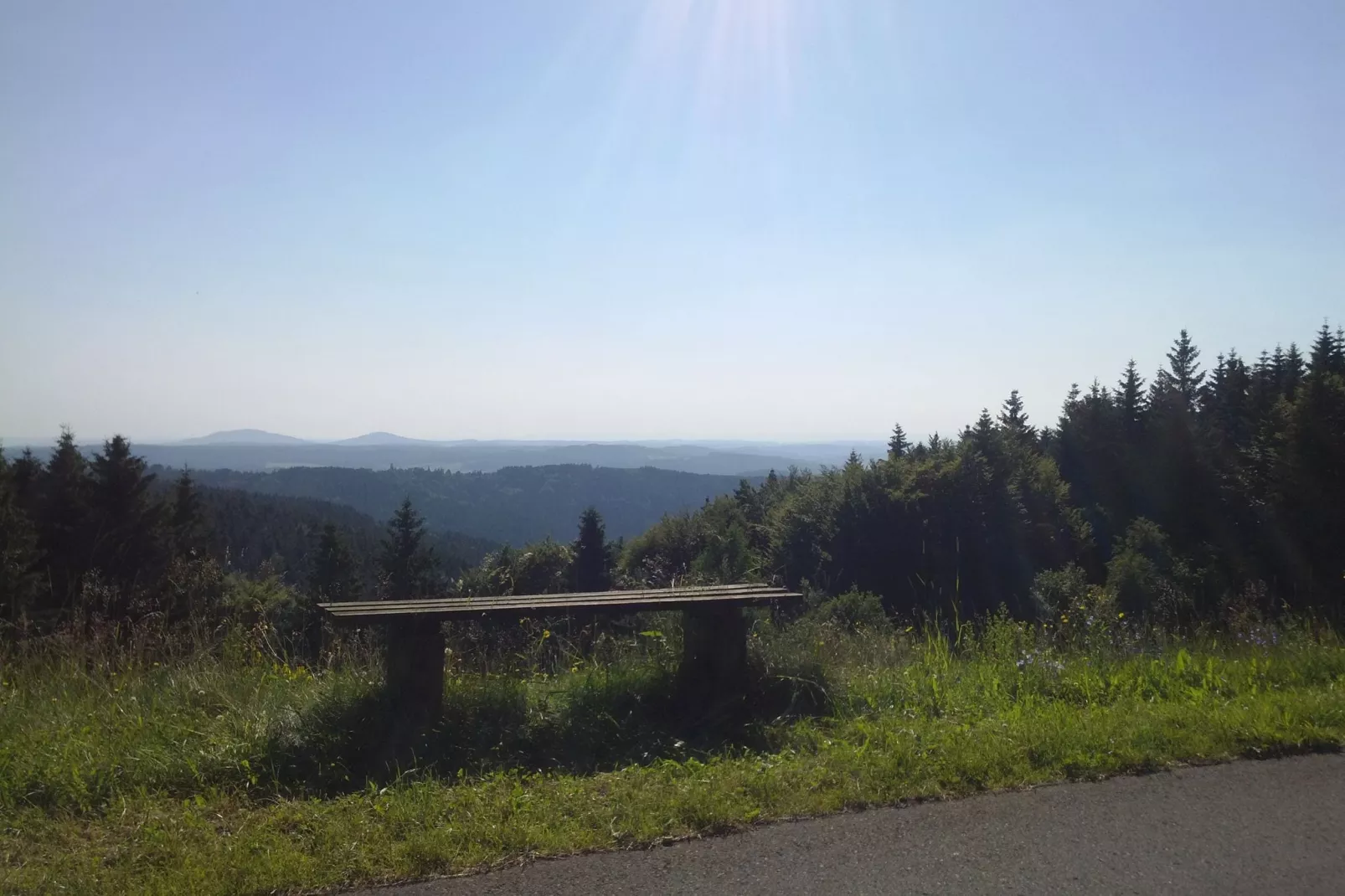 Theresa-Areas summer 1km
