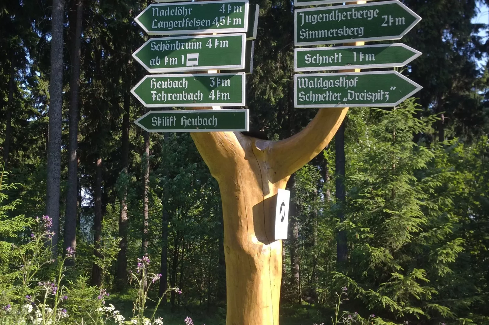 Theresa-Areas summer 1km