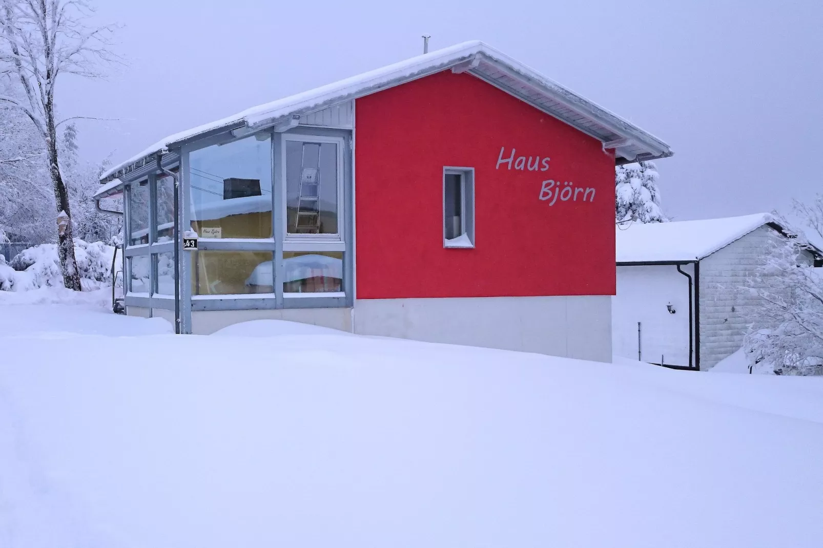 Björn