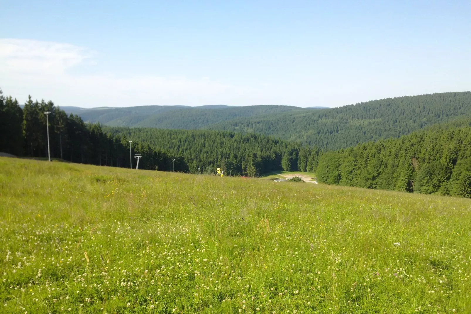 Björn-Gebiete Sommer 1 km