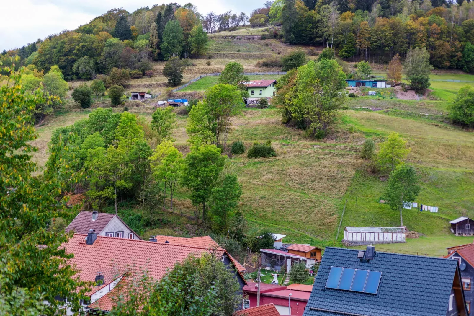 Am Steinberg-Gebiete Sommer 1 km