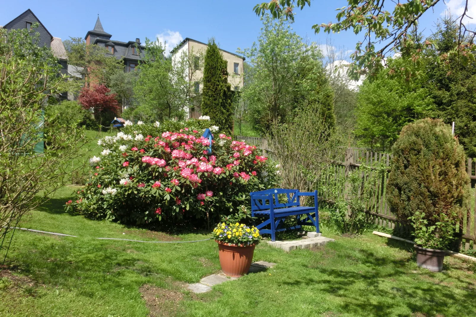 Bärbel-View summer