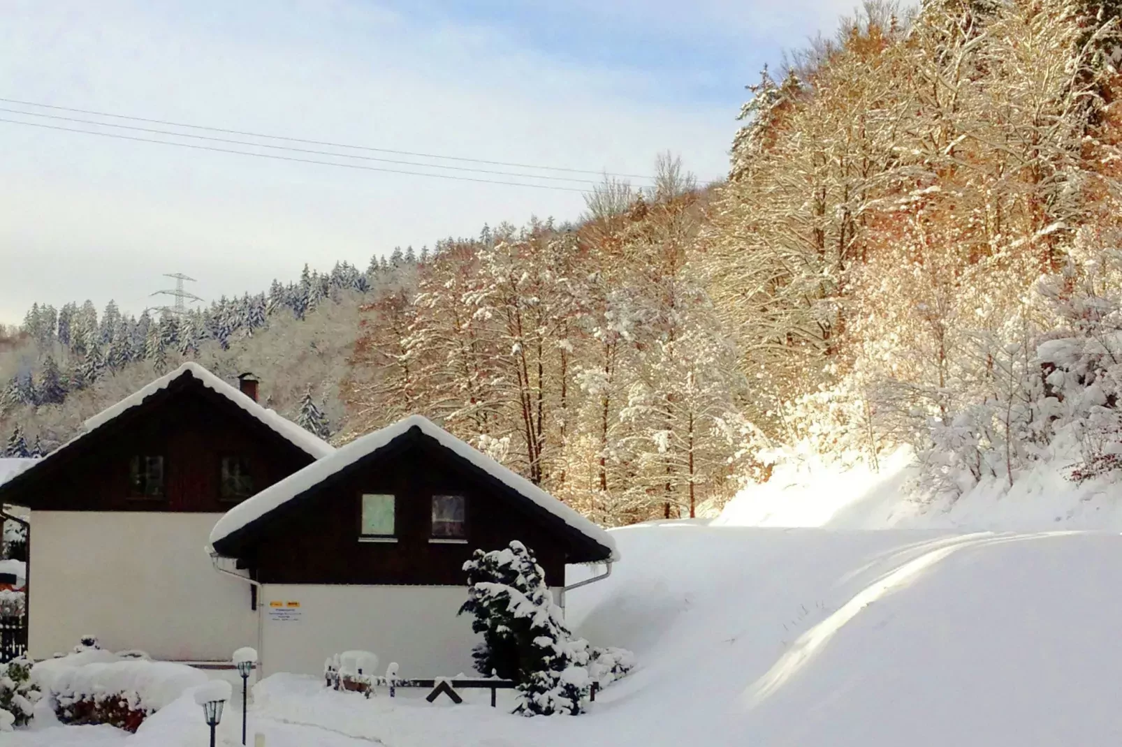 Goldisthal-Exterior winter