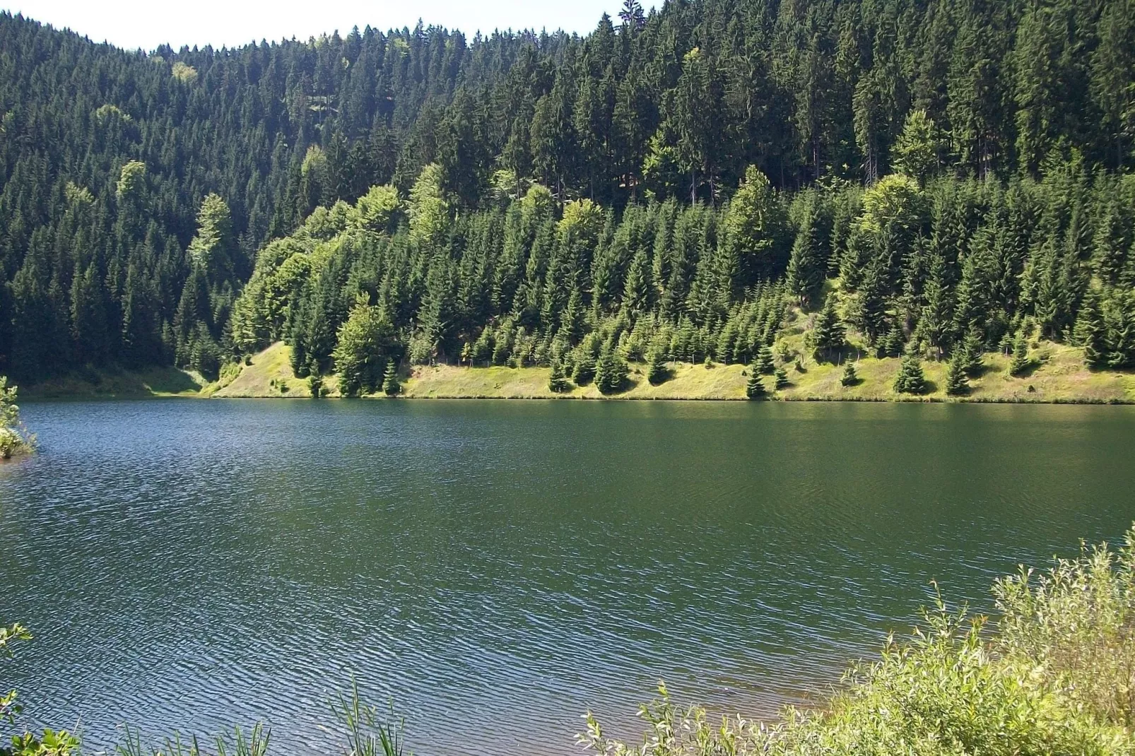 Goldisthal-Areas summer 5km