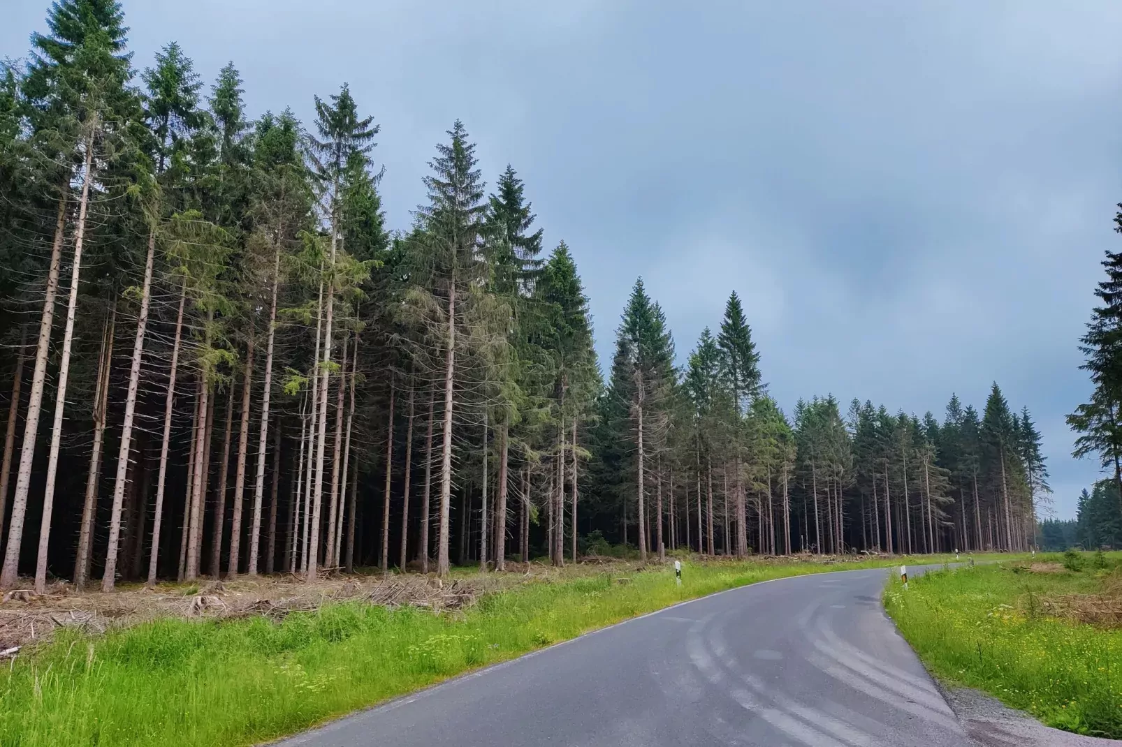 Blessberg-Gebiete Sommer 5 km