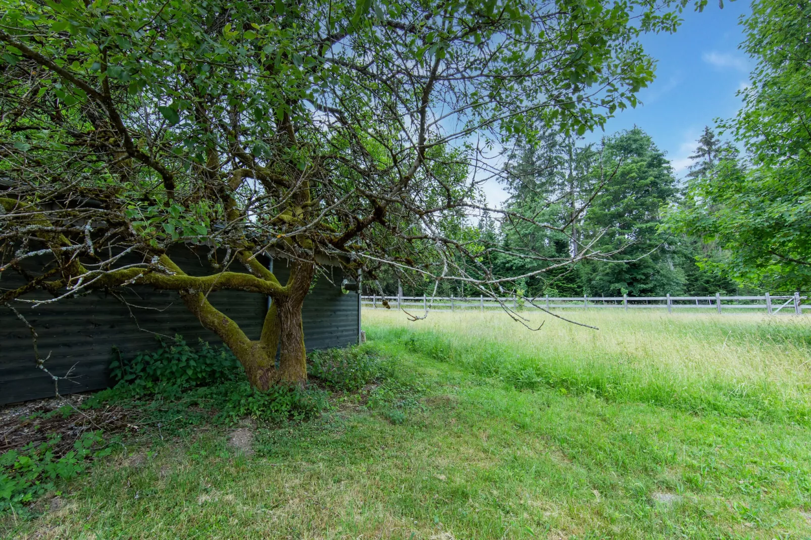 Gruppenhaus Friedrichshöhe-Gebiete Sommer 1 km