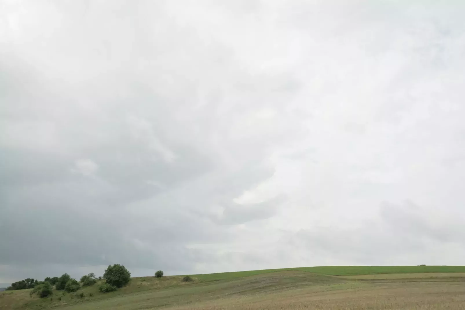 Neustadt-Areas summer 1km