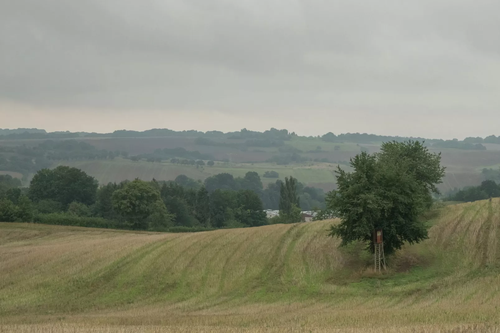 Neustadt-Areas summer 5km