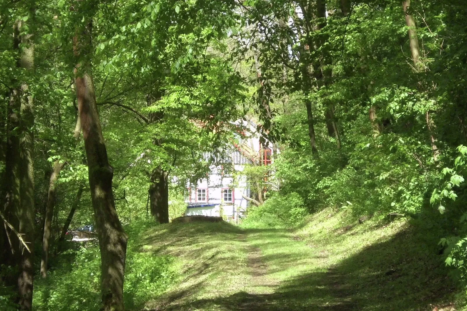 Alte Wassermühle-Areas summer 5km