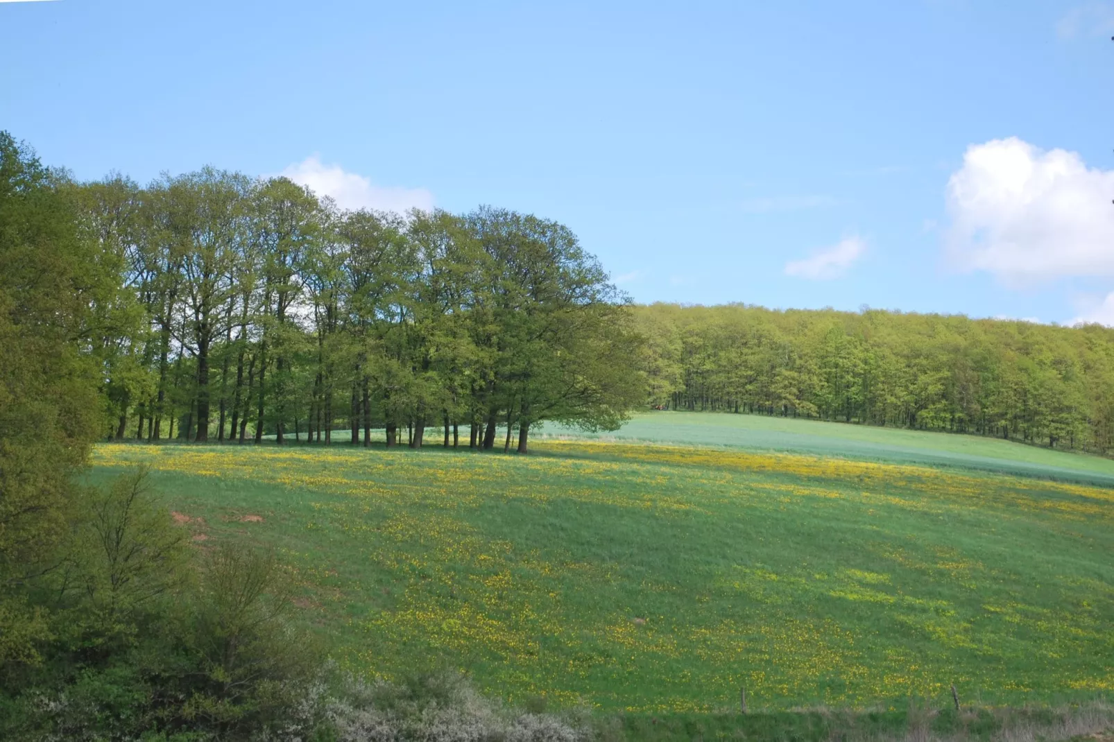 Alte Wassermühle-Areas summer 5km