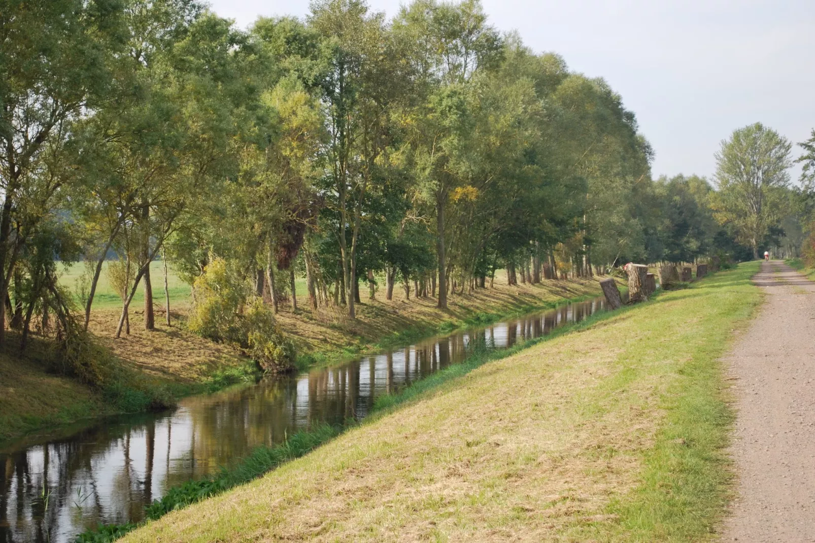 Alte Wassermühle-Areas summer 5km