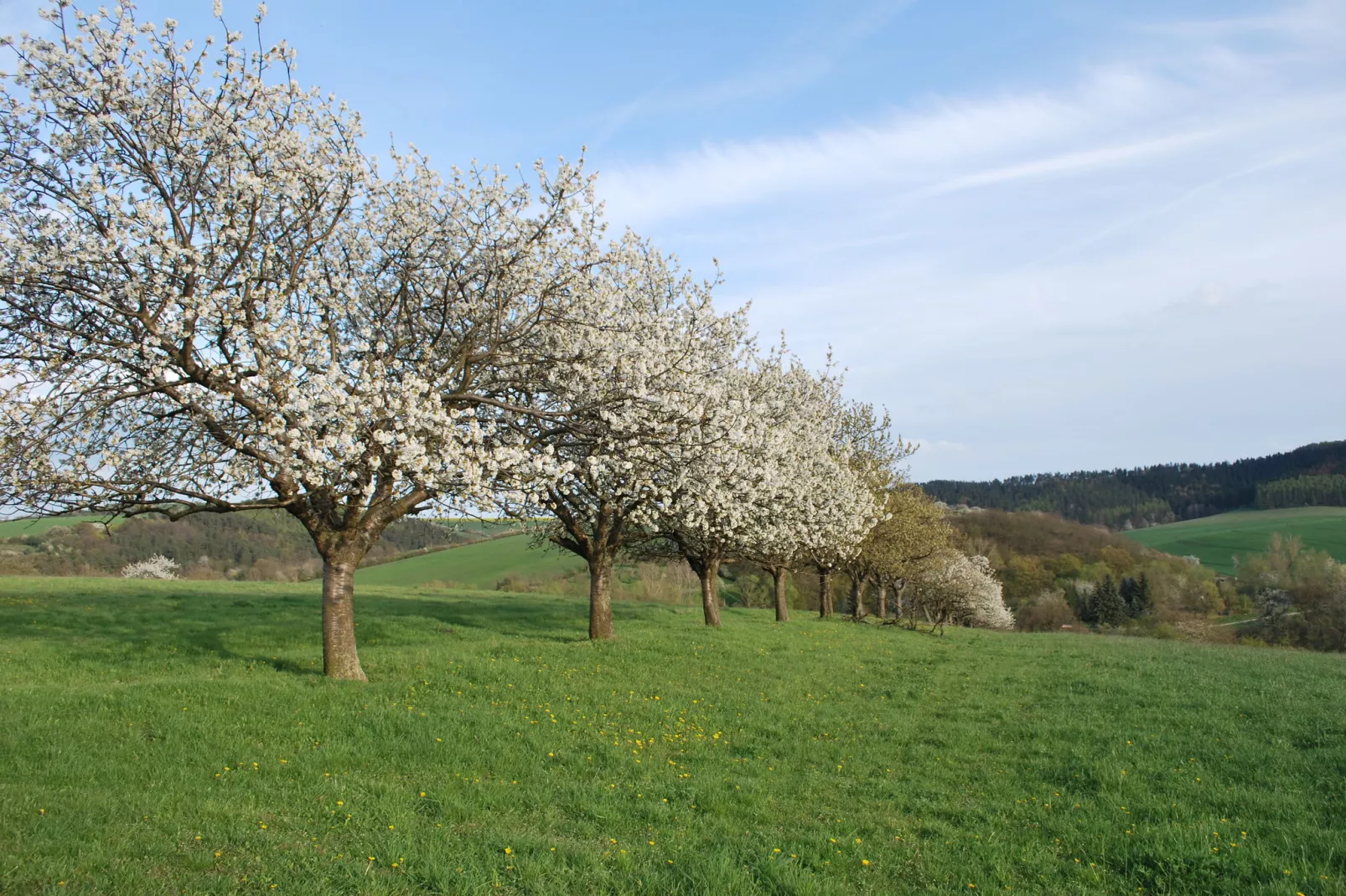 Alte Wassermühle-Gebiete Sommer 1 km