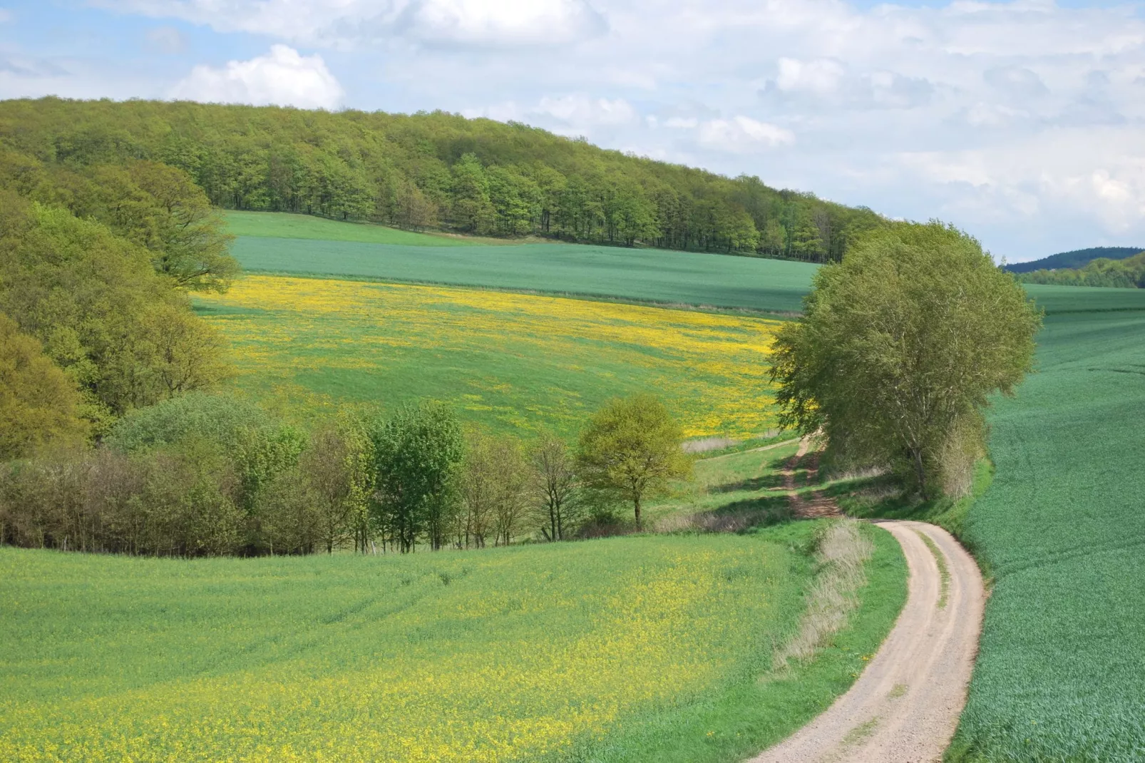 Alte Wassermühle-Gebiete Sommer 5 km