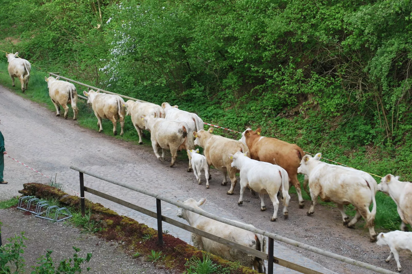 Alte Wassermühle-Gebiete Sommer 5 km