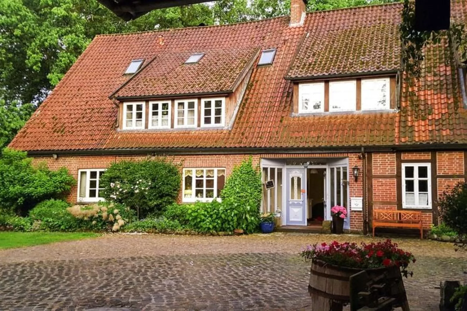 Hühnerhaus-Exterior summer