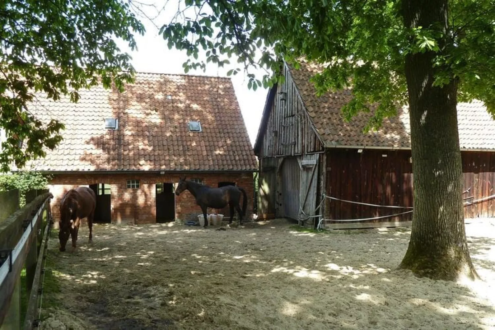 Hühnerhaus-Exterior summer