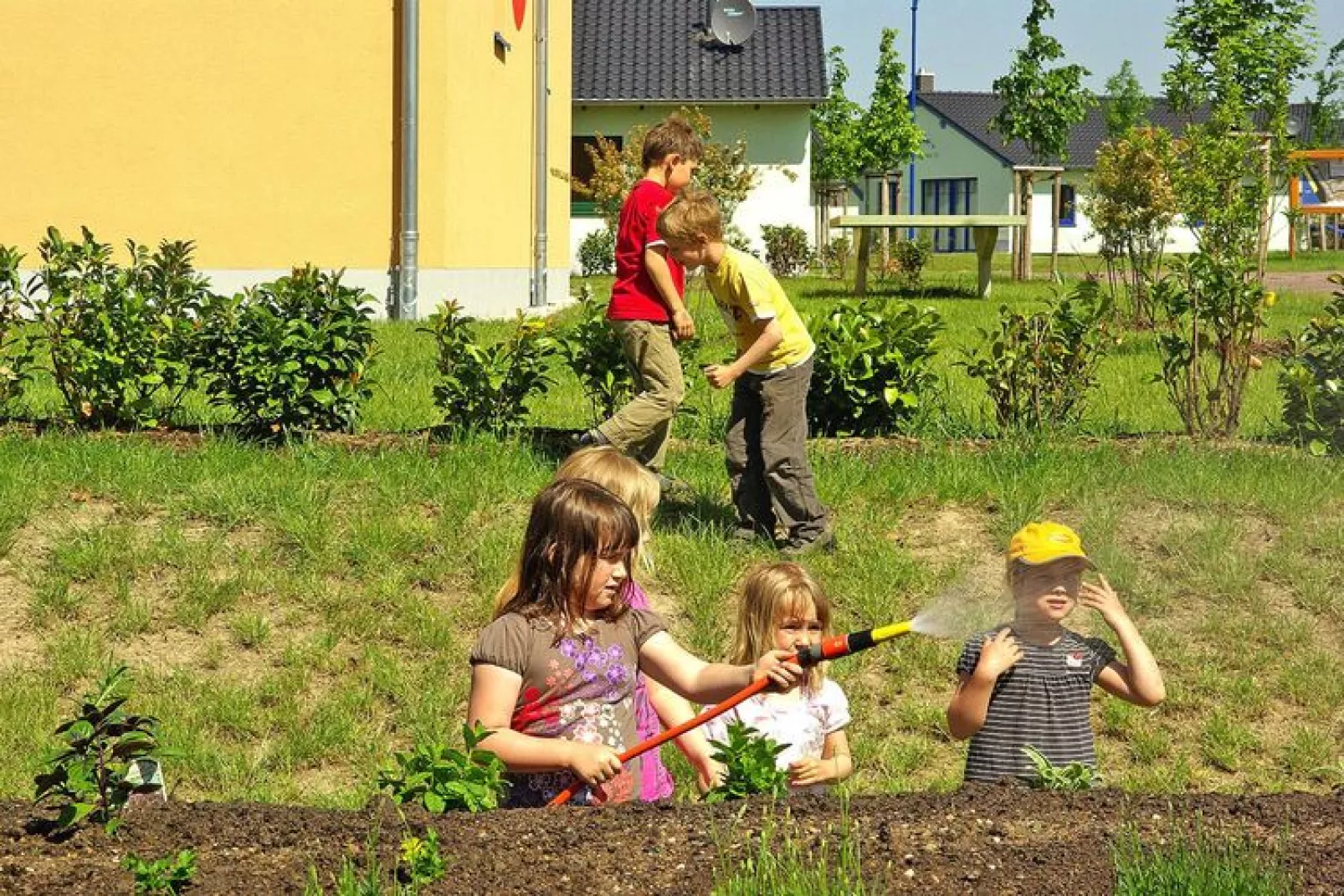 FH Seeschwalbe-Gardens summer
