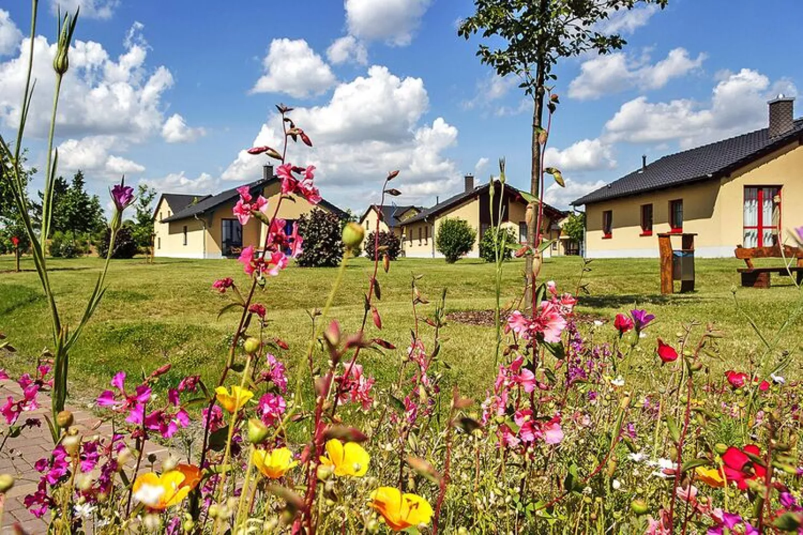 FH Seeschwalbe-Gardens summer