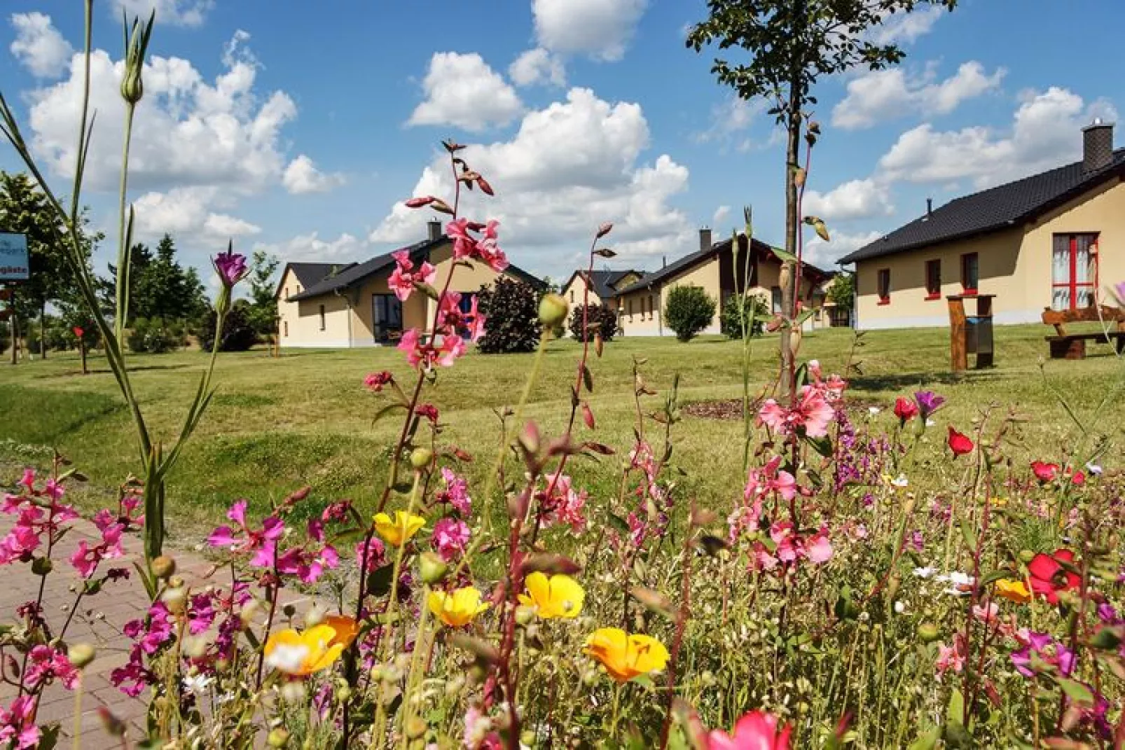 FH Zwergseeschwalbe-Park facilities