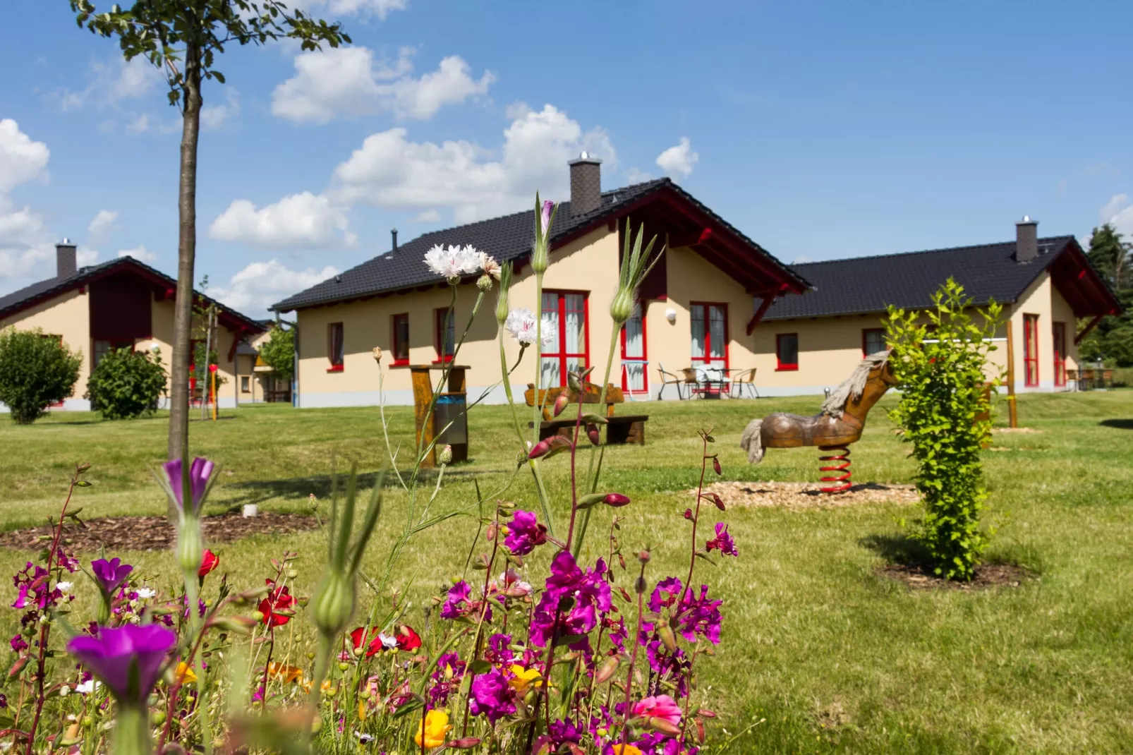 FH Zwergseeschwalbe-Park facilities