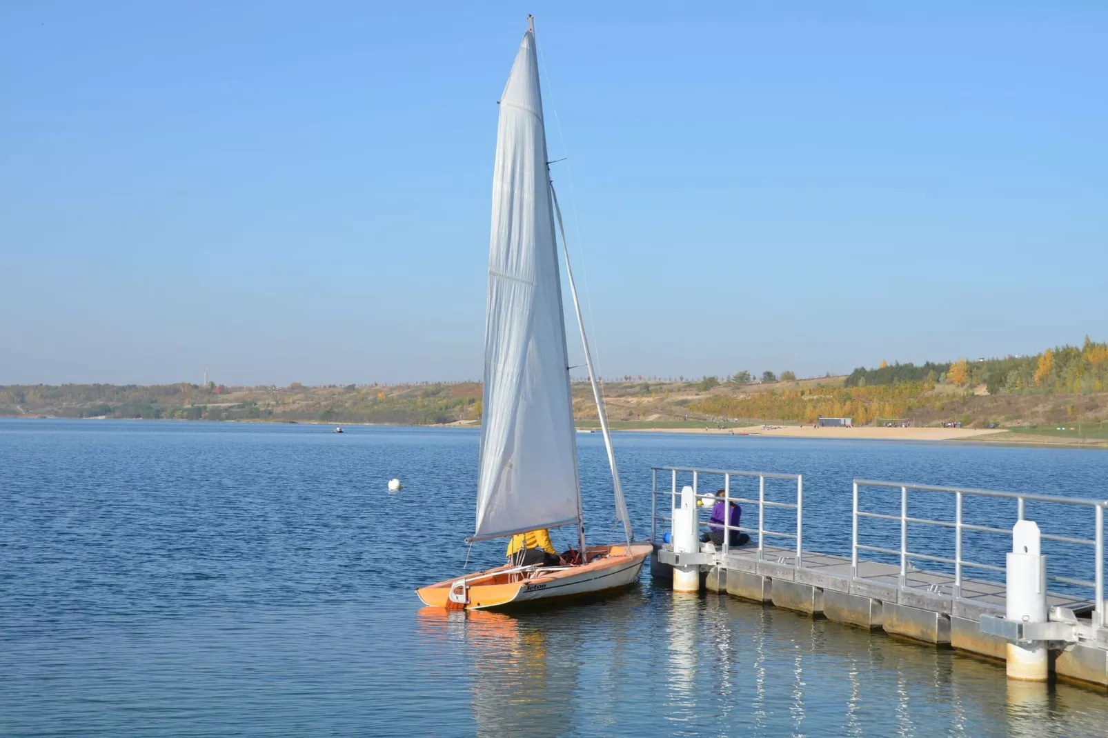 FH Zwergseeschwalbe-Areas summer 1km
