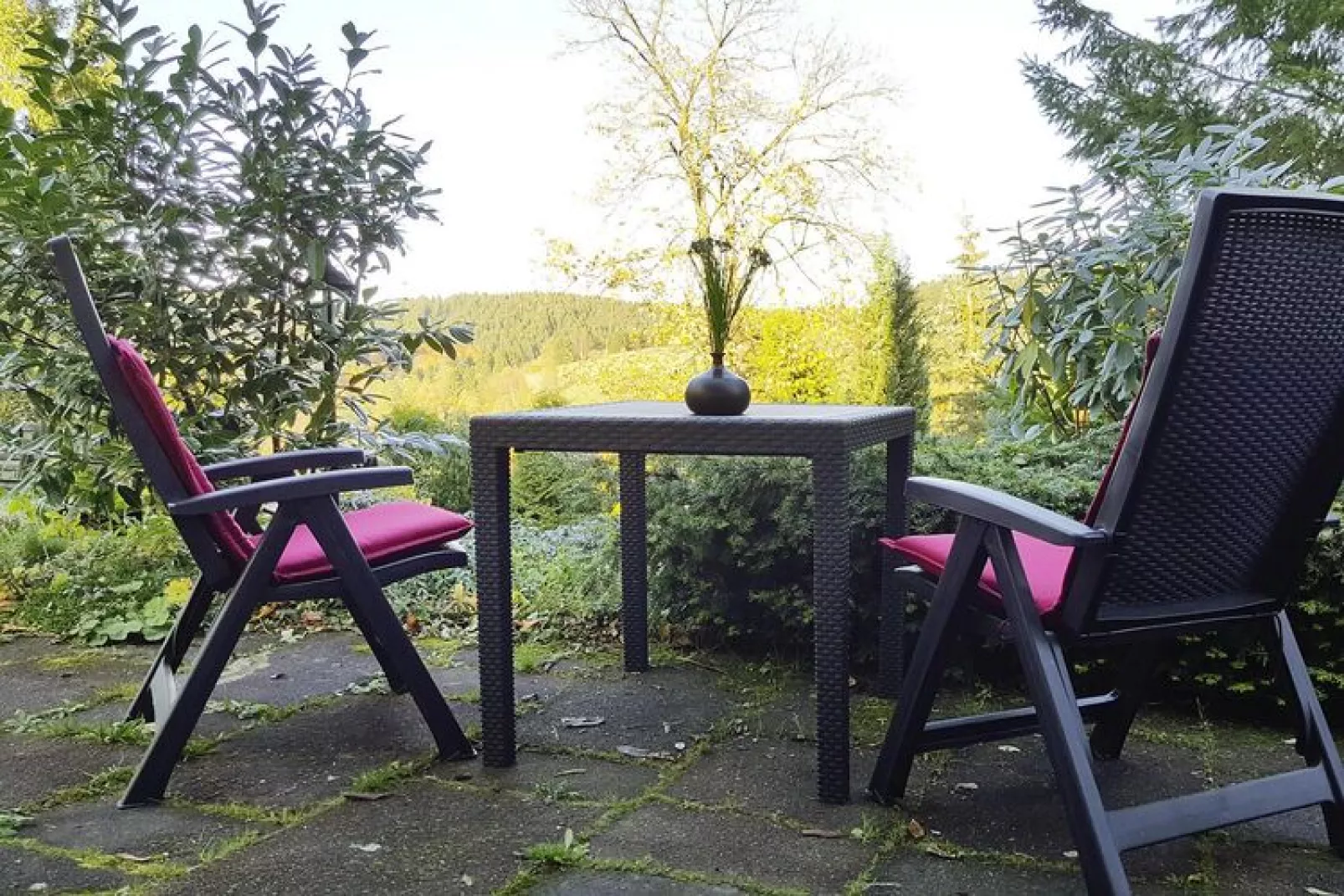 Kombination Bärenhütte  Hirschblick 10 Erw 2 Kinder-Gardens summer
