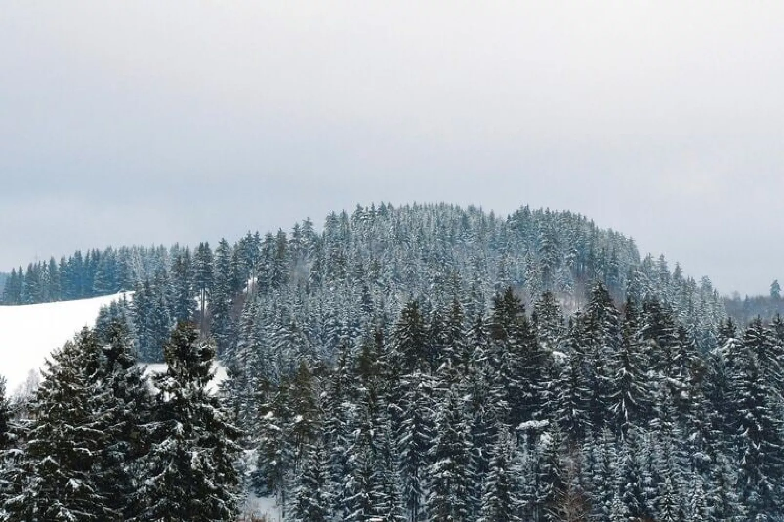 Kombination Bärenhütte  Hirschblick 10 Erw 2 Kinder-View winter